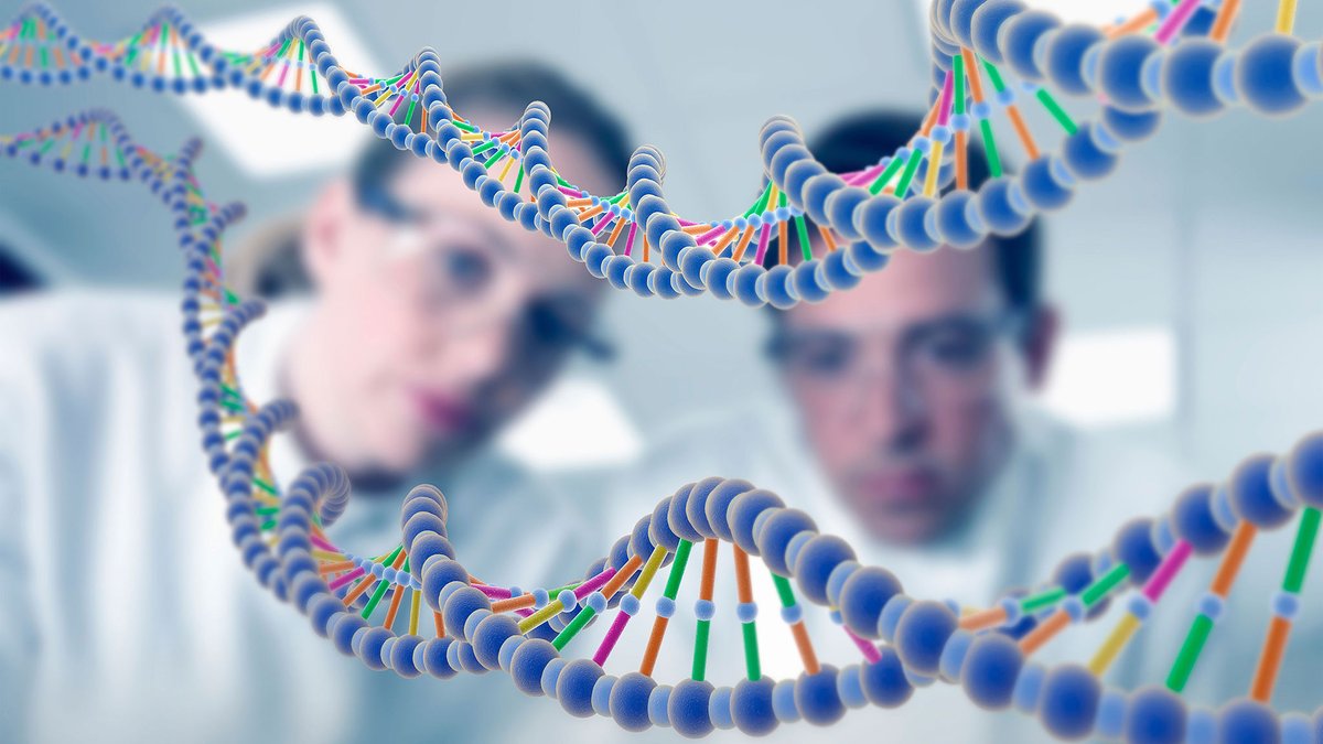 Genomics Education (@genomicsedu) on Twitter photo Will you use the #NationalGenomicTestDirectory? Or need to order clinical tests from it? And don't know where to start? Then join our mentored <a href="/FutureLearn/">FutureLearn</a> course. It's #free and certificated if you're in the #NHS. Enrol via: orlo.uk/J8mLz Will you use the #NationalGenomicTestDirectory? Or need to order clinical tests from it? And don't know where to start? Then join our mentored <a href="/FutureLearn/">FutureLearn</a> course. It's #free and certificated if you're in the #NHS. Enrol via: orlo.uk/J8mLz