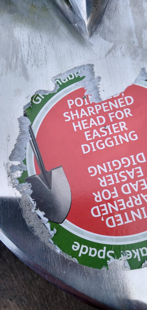 cora eley tweet media