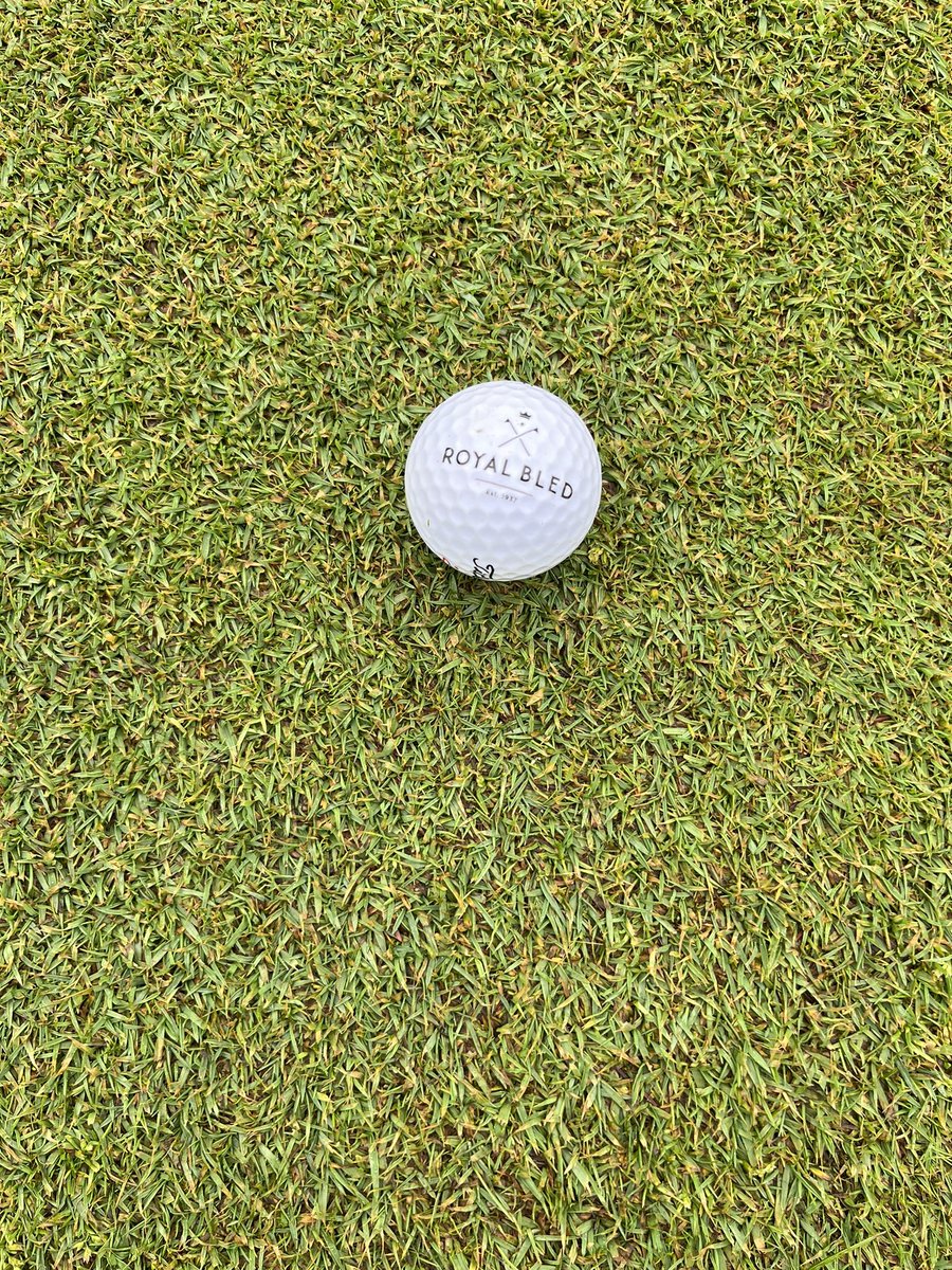 CentenaryHGK's tweet photo. Another misty & murky set up this am @royalbledgolf Bent grass really not enjoying these overcast days, the poa on the other hand thinks it’s on spring break 🙄 Still the sunshine can’t be far away 🤞 At least the fairway extension to 18 is blending in well 👌😎 #SaturdaySetUp https://t.co/d3FHqT5yAx