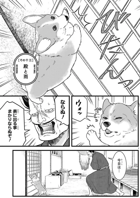 雨の日の武士とコーギー☔️  #殿と犬  #単行本2巻 #5月15日発売