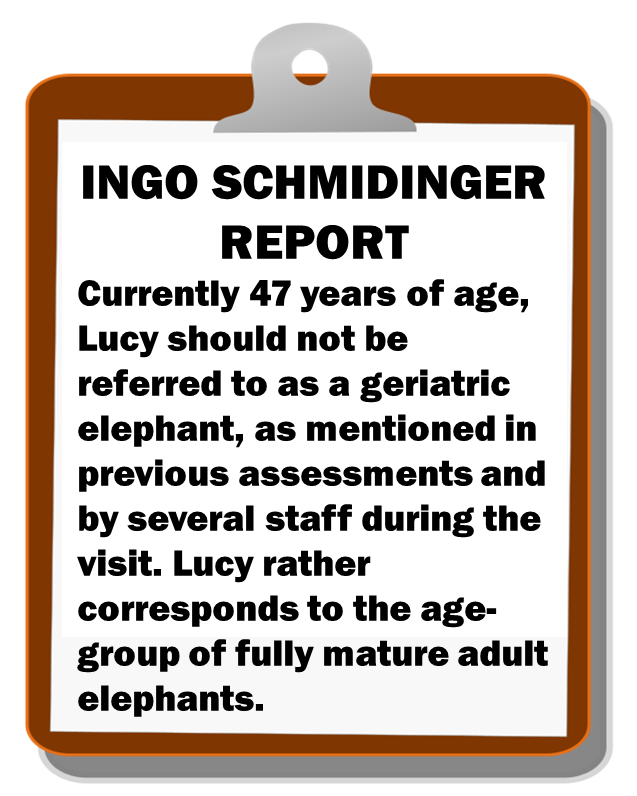 @Cosmicbrigade @sat4eles @cher @ftwglobal @anikasleem @fourpawsint @LEAPyeg @AmarjeetSohiYEG @elephantlovers @HERD_Elephants @Sangita4eles @ElephantsRule @SaveNoorJehan Given he is an elephant reproductive specialist, he should be well aware that if Lucy is still ovulating, she is premenopausal, NOT GERIATRIC. More lies from zoo vets & #SpinDoctorGary so they don't have to #FreeLucy. Dr. Trish & @IngoSchmidinger both stated she's a mature adult.