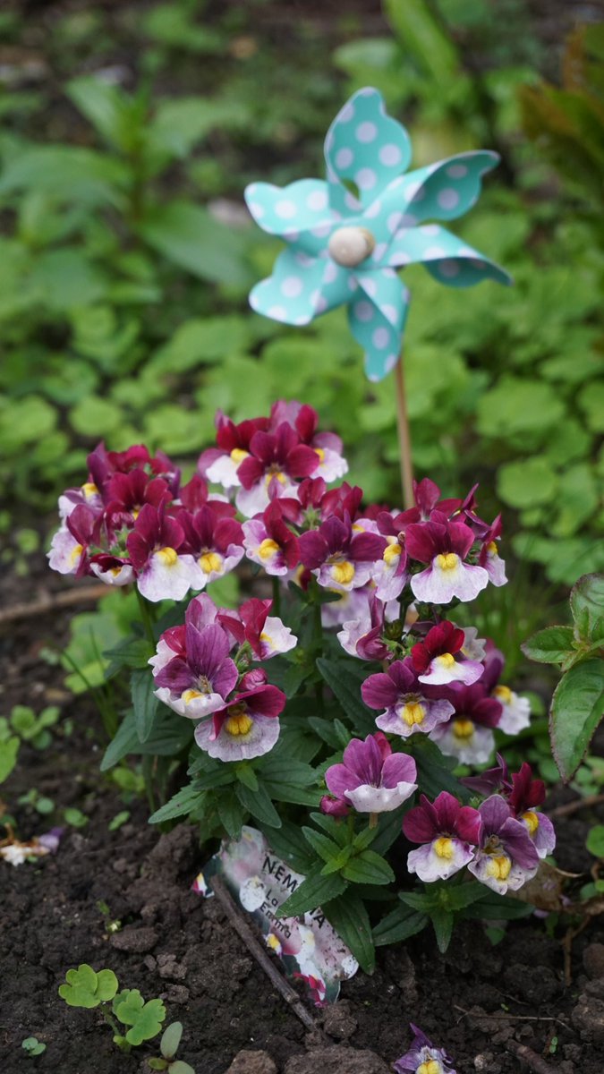 SpaldingURC's tweet photo. PLUS our Secret Garden is OPEN for you to discover #spaldingflowerparade #spaldingurc https://t.co/hynnj0MHuh