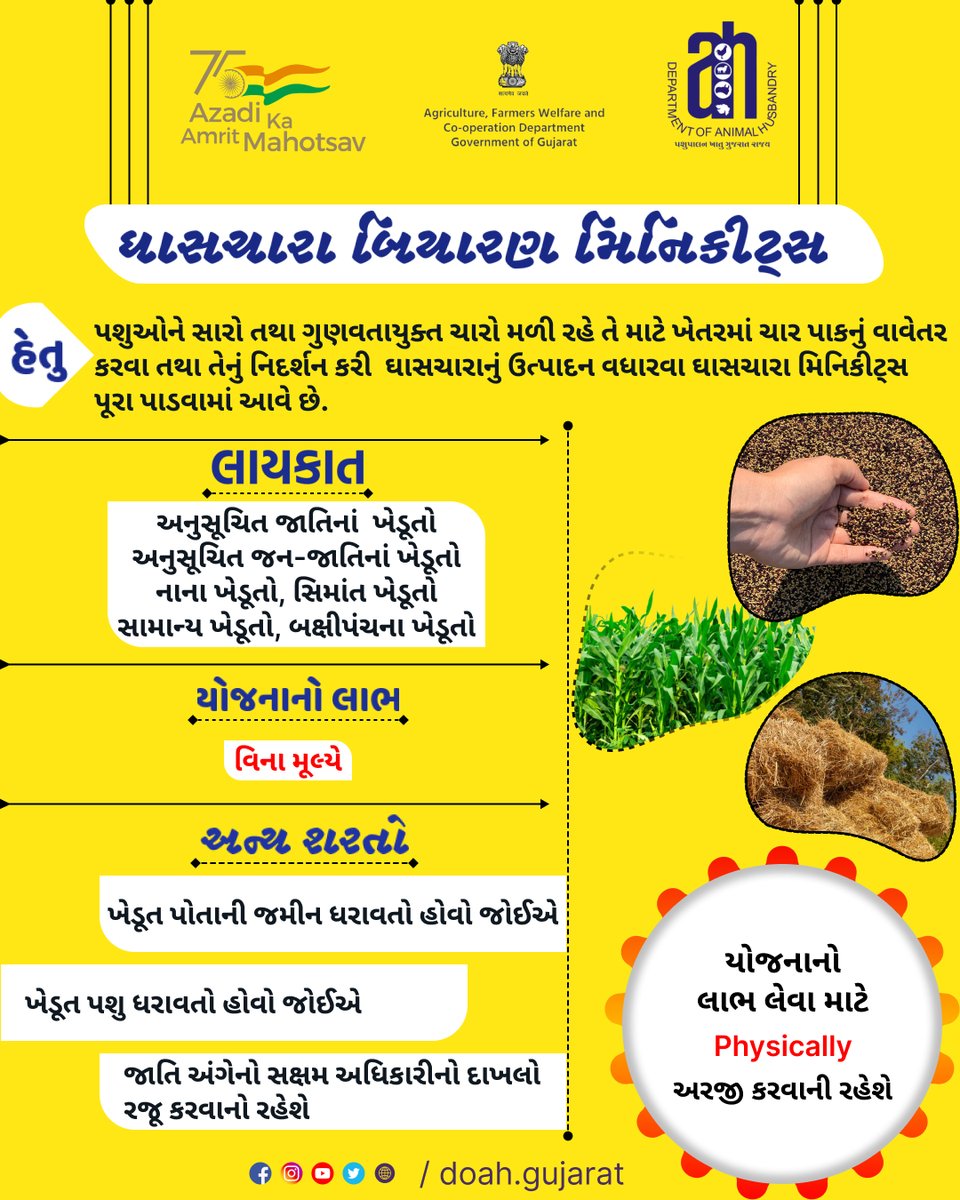 DoahGujarat's tweet photo. ઘાસચારા બિયારણ મિનિકીટ્સ યોજના
@Min_FAHD
@RaghavjiPatel
@posolanki
#doah #departmentofanimalhusbandry #gujarat #animal #animals #gujaratinformation #governmentofgujarat #pashupalak #animalhealth #profitableanimalhusbandry #Beneficiaryscheme #minikits https://t.co/ea4yZQu4LS