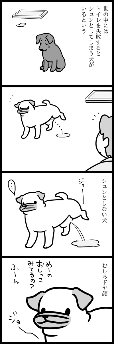 めーという犬