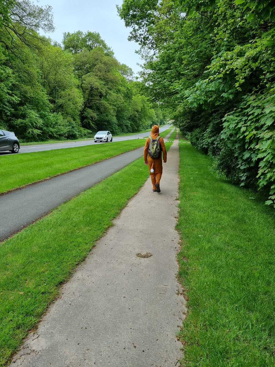 What a brilliant sight, a rural fox in the suburban outskirts of Coventry! #WalkForPlunkett day 2 well underway as <a href="/Paul_in_Loxley/">Paul Jennings</a> cracks on to his first checkpoint at Kenilworth as part of his 'Race to <a href="/FoxLoxley/">The Fox Inn Loxley</a>'... Please support him via justgiving.com/fundraising/fo…