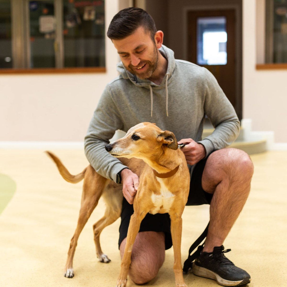DT_MANCHESTER's tweet photo. A HUGE congratulations to Tom for completing the @Londonmarathon ! Despite an injury Tom completed the marathon with flying colours and raised a fantastic amount for us @DogsTrust !
#MarathonRunner #FundRaising #LondonMarathon #HelpForDogs #PeopleLikeTom #DogsTrust https://t.co/cY7rrQ9xq2