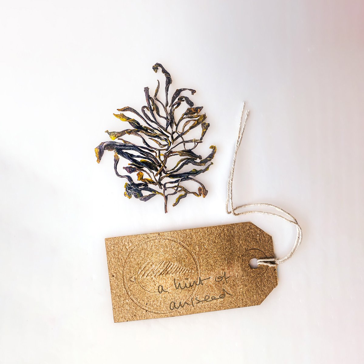 Canton Tea tweet media