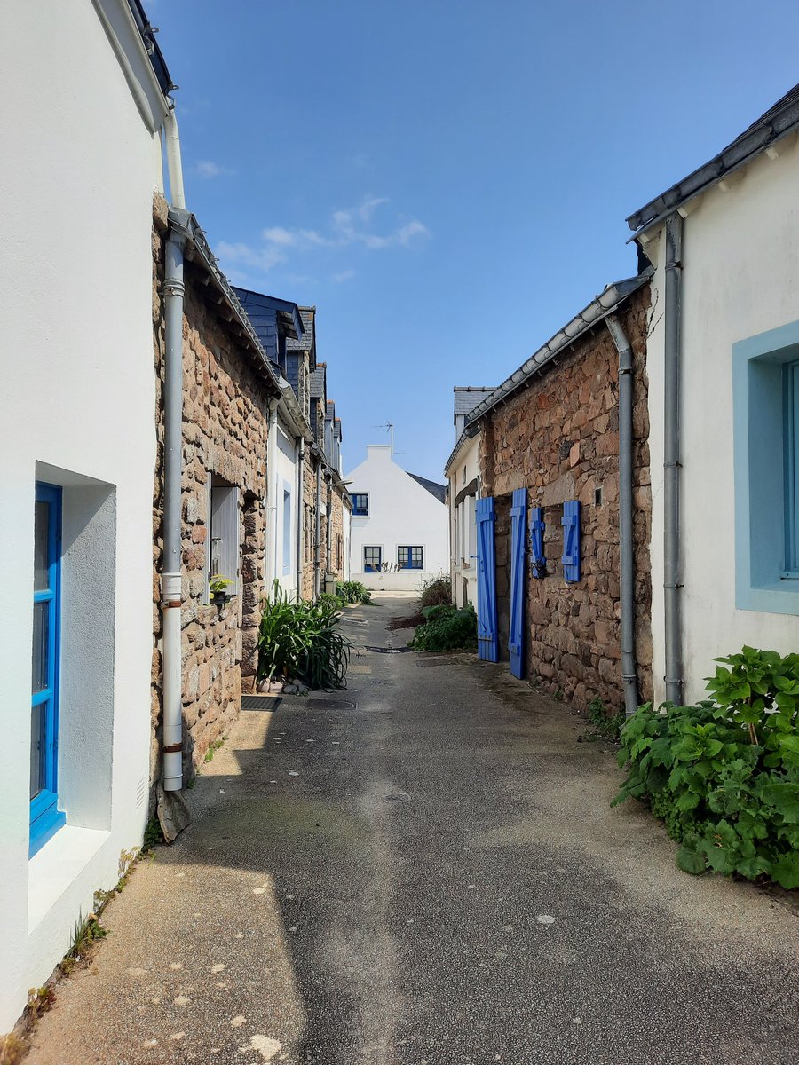 celine29m's tweet photo. Qu'il fait bon de flâner dans les jolies ruelles de l'île de Houat 🤍🌿💙
#Bretagne #Morbihan #Bzh https://t.co/wLupiEO9IA