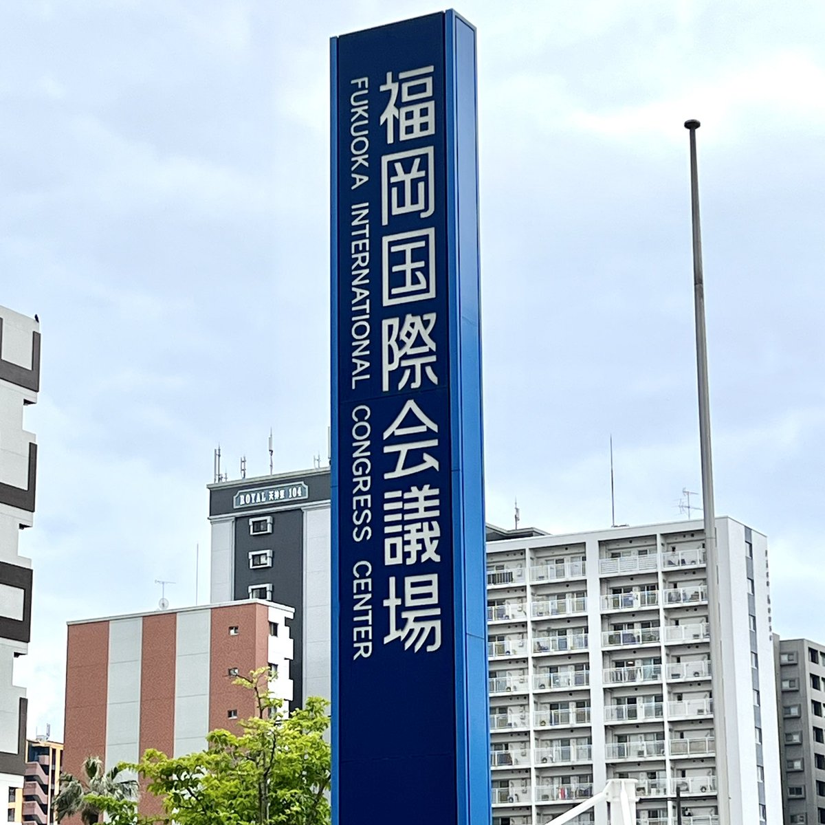さいばー tweet media