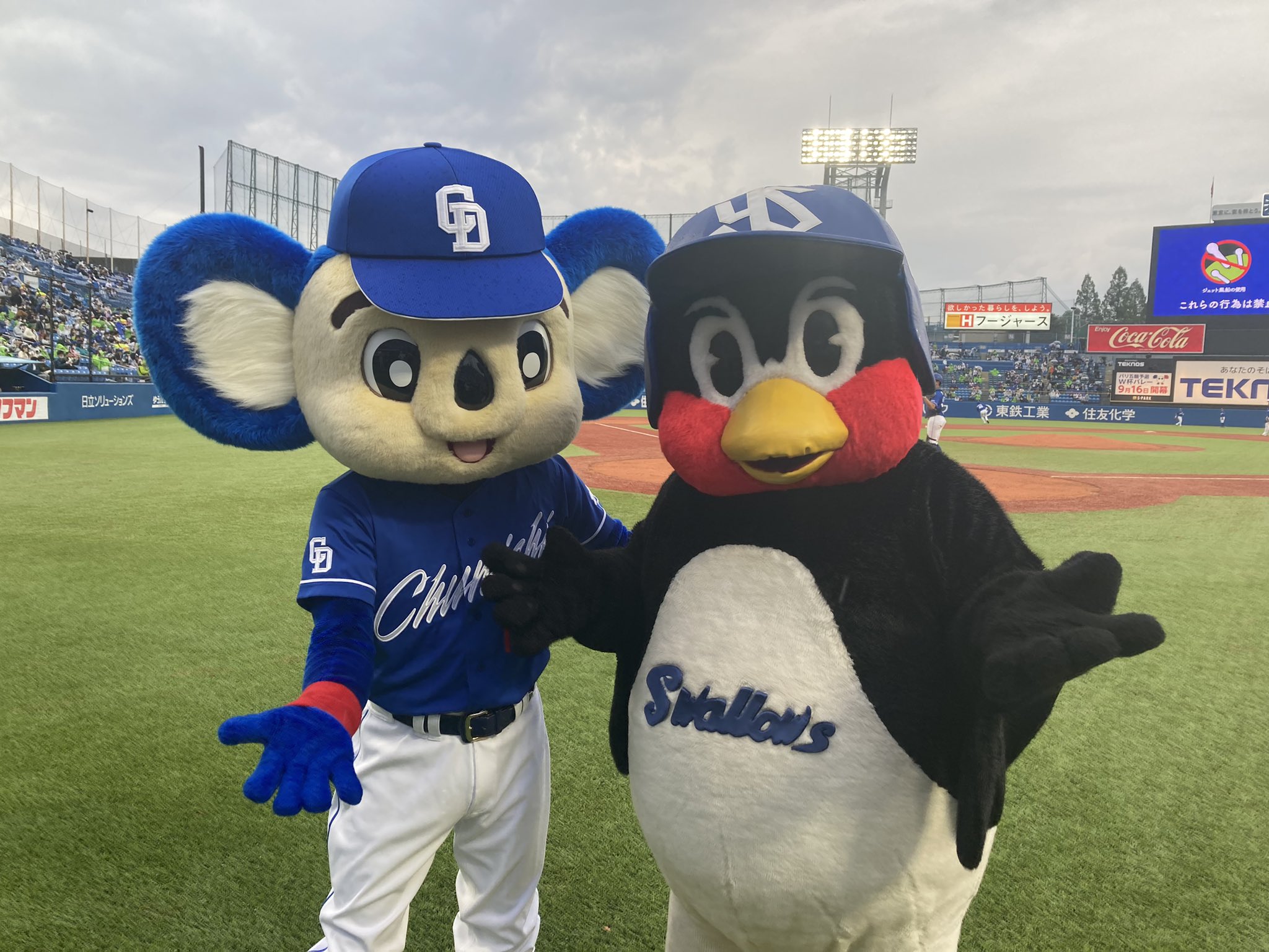 東京ヤクルトスワローズ - 東京ヤクルトスワローズ 中日ドラゴンズ つばラ風トートバッグ ドアラ つば九郎 東京ヤクルトスワローズ公式 on X: 