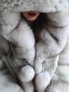 Olivia_Fur tweet media