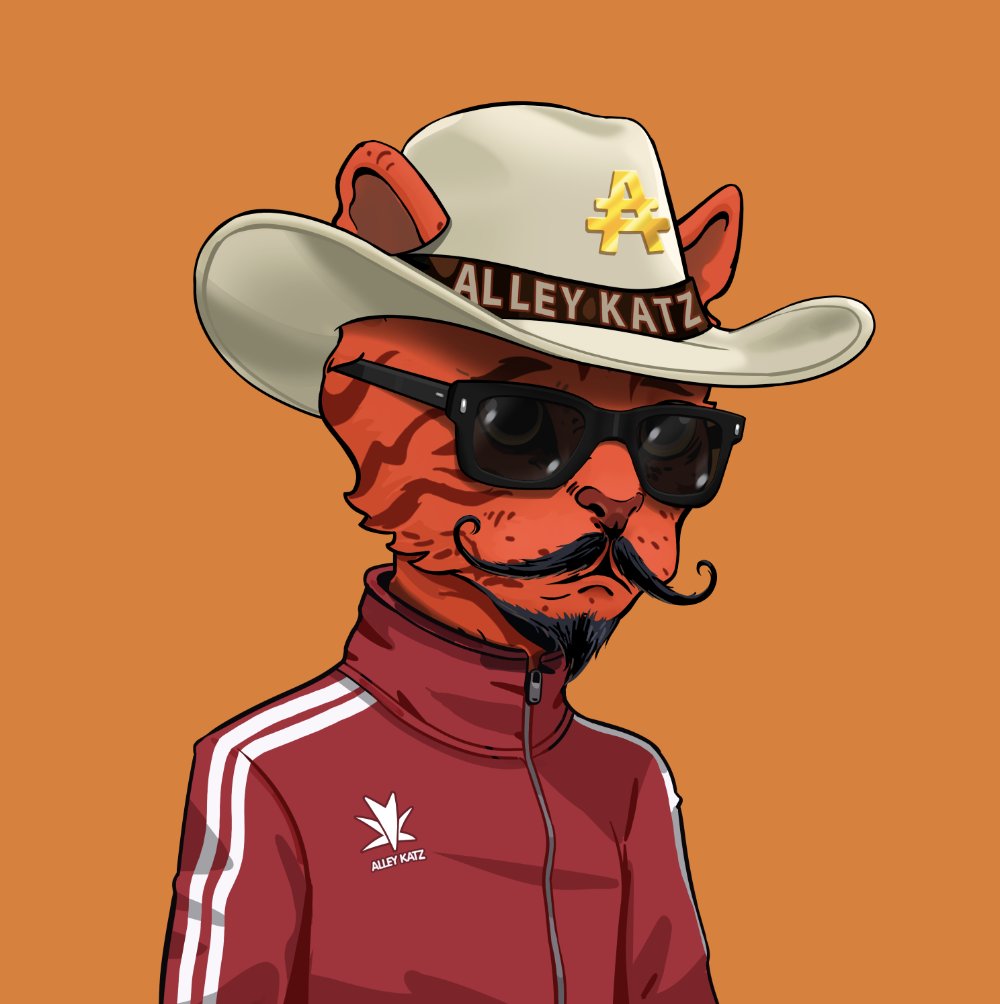 OldManCryptoo's tweet photo. #Kowboy #Katurday
@AlleyKatzCNFT
#JoinTheDestruction https://t.co/nUhbUqE5ZB