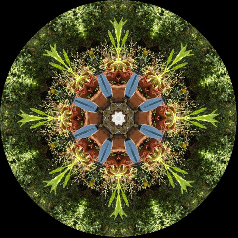 gennepher's tweet photo. #kaleidosaturday
#laboscope
3 random shots into my garden this morning https://t.co/0UvL14Cl6P