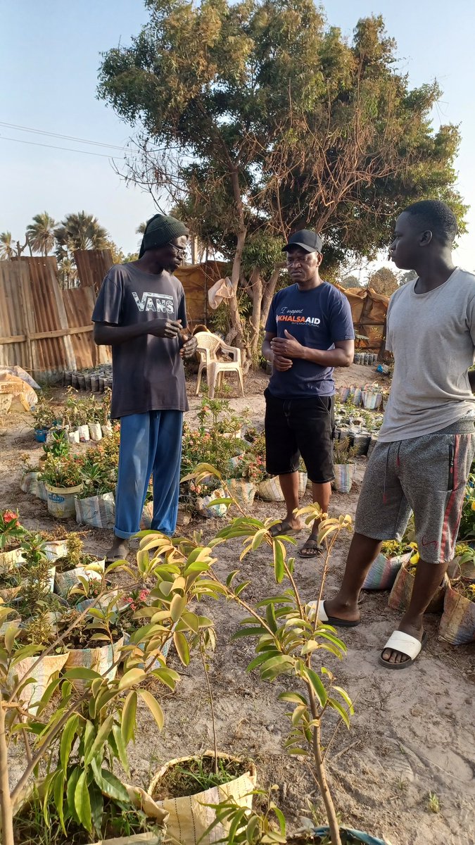 Gambia: #Water4Africa
 
We are buying orange, mandarin, mango, guava, and soursop trees for our planting programme in order to tackle food insecurity, create shade, and improve #biodiversity in #TheGambia 
 
#Zerohunger
#ClimateAction
#environment

@Khalsa_Aid
@UKinGambia