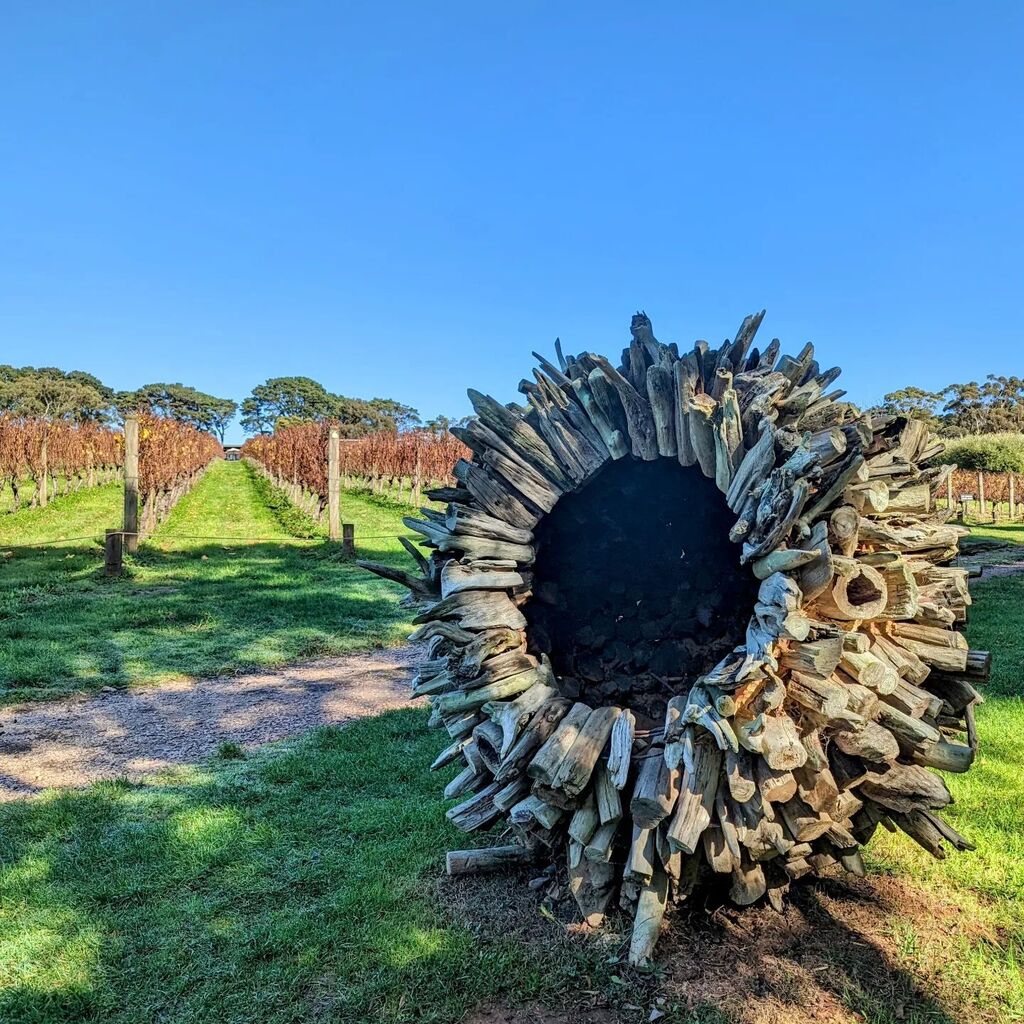 the_unscene73's tweet photo. Terestri Anenemi
-
-
#victoria #vineyard #winery #sculpture #shotonpixel #shotonpixel7pro #shotbypixel #teampixel #teampixel https://t.co/3EpNJVT328 https://t.co/ccu7ZDL6NB