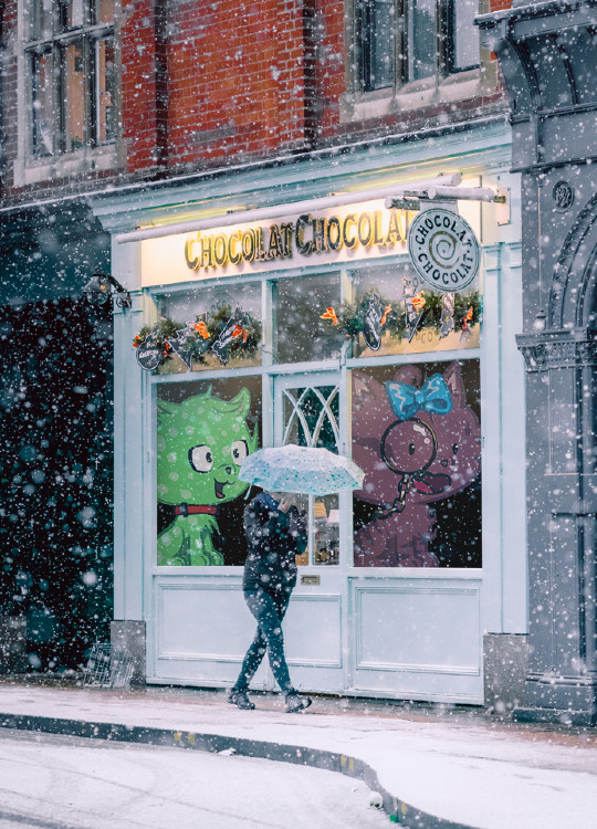 Bit Pixel Cat tweet media