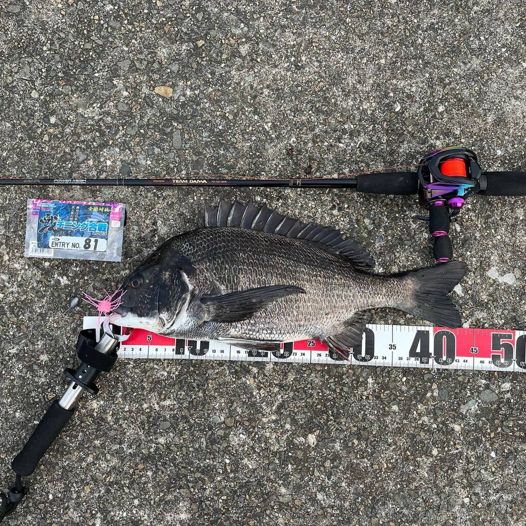 HRF50676091's tweet photo. 🐟
#ikusa_chinu
#44cm
#サイコロラバー
@o.s.p_saltwater https://t.co/YmOh2D6hBI https://t.co/6xqXddlXr3