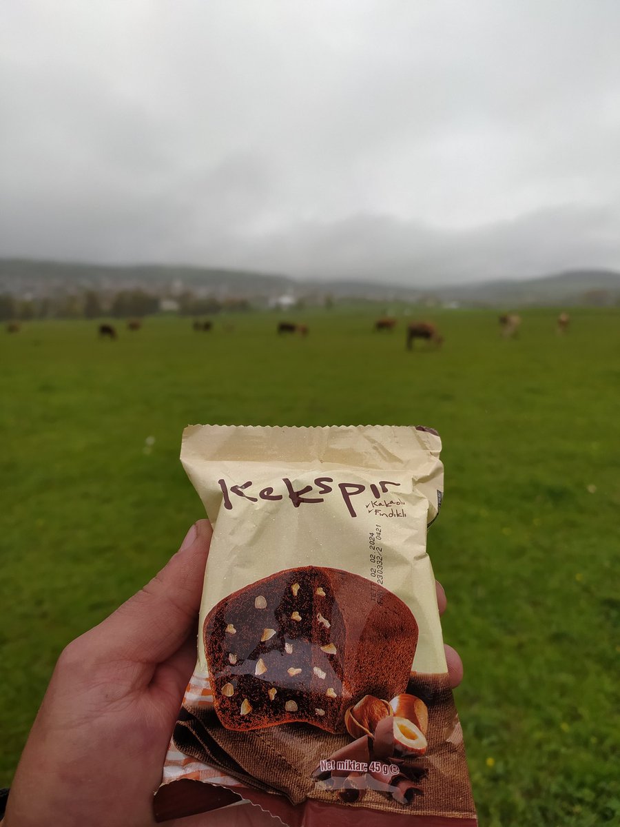 Ekmek bulamaz iseniz kek yeyin hsjdhdhdhdh