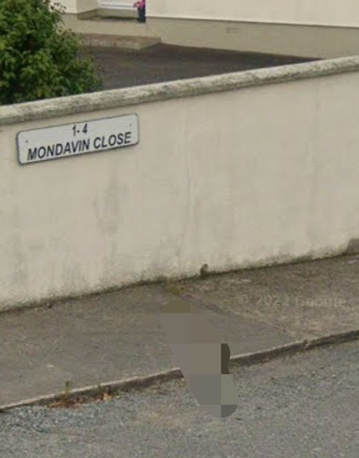 Jacquel43128796's tweet photo. @wexfordcoco This is the reply I got to the email I sent on 23rd March. The cat is in the long grass adjacent to the entrance to Mondavin Close, Riverchapel https://t.co/fv72L5IRQG