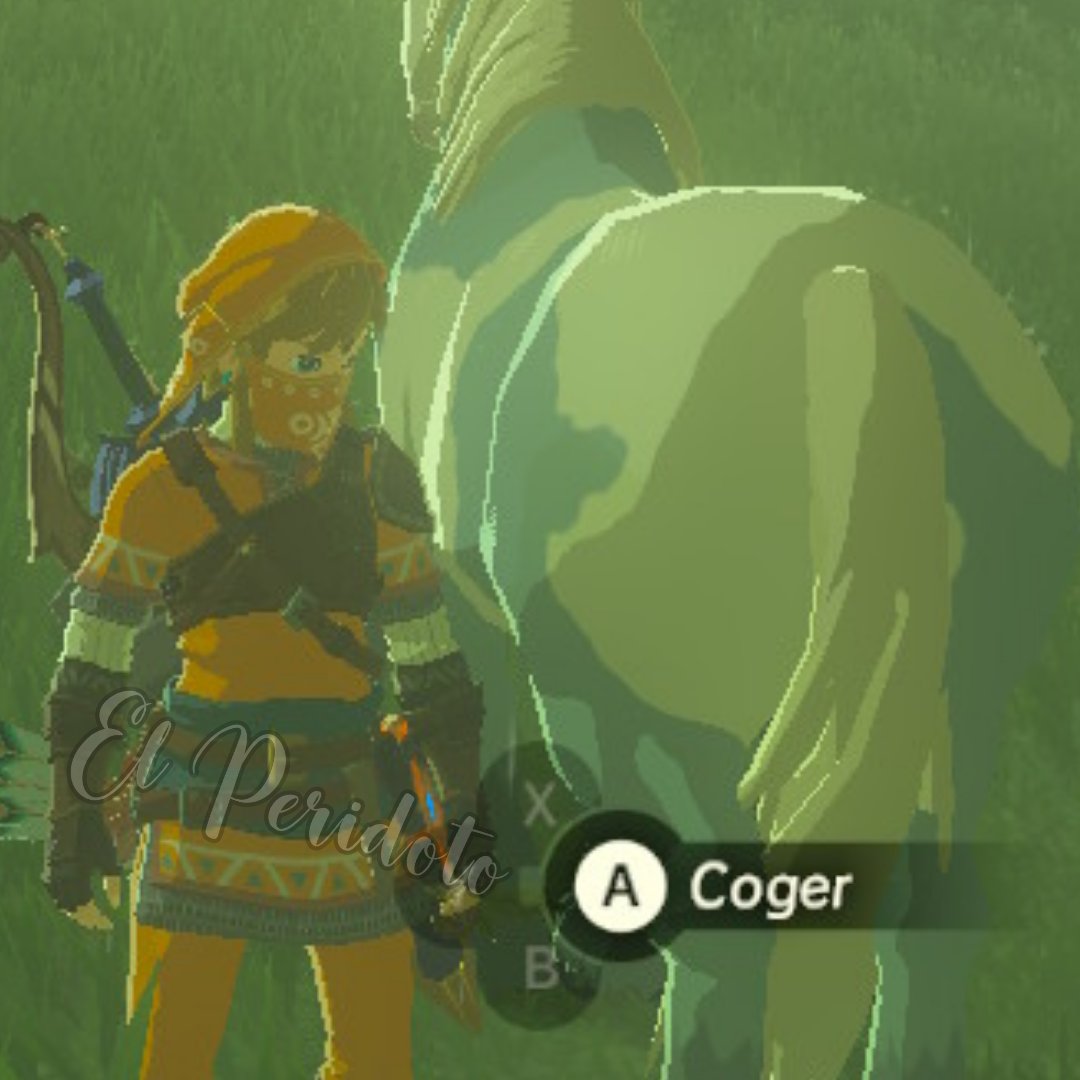 ElPeridoto's tweet photo. Se puso raro el juego... #TearsOfTheKingdom #ZeldaTOTK https://t.co/PfYZ4W0nvx
