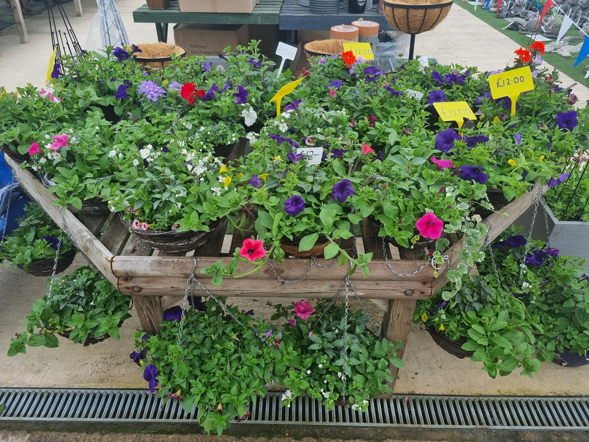 ChansonFlowers's tweet photo. The shop is OPEN all weekend 🌷

Saturday 9am-4pm 
Sunday 10am-4pm 

Fantastic selection of summer bedding &amp; basket plants plus much more!

Chanson Flowers 
Nut Lane
Wrangle 
Boston 
Pe22 9JF 🌼

#beddingplants #garden #flowers #hangingbaskets https://t.co/SvOfet9WX8