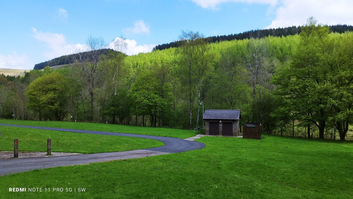 Green&blue 🌲💙 #parcwmdarren #countrypark