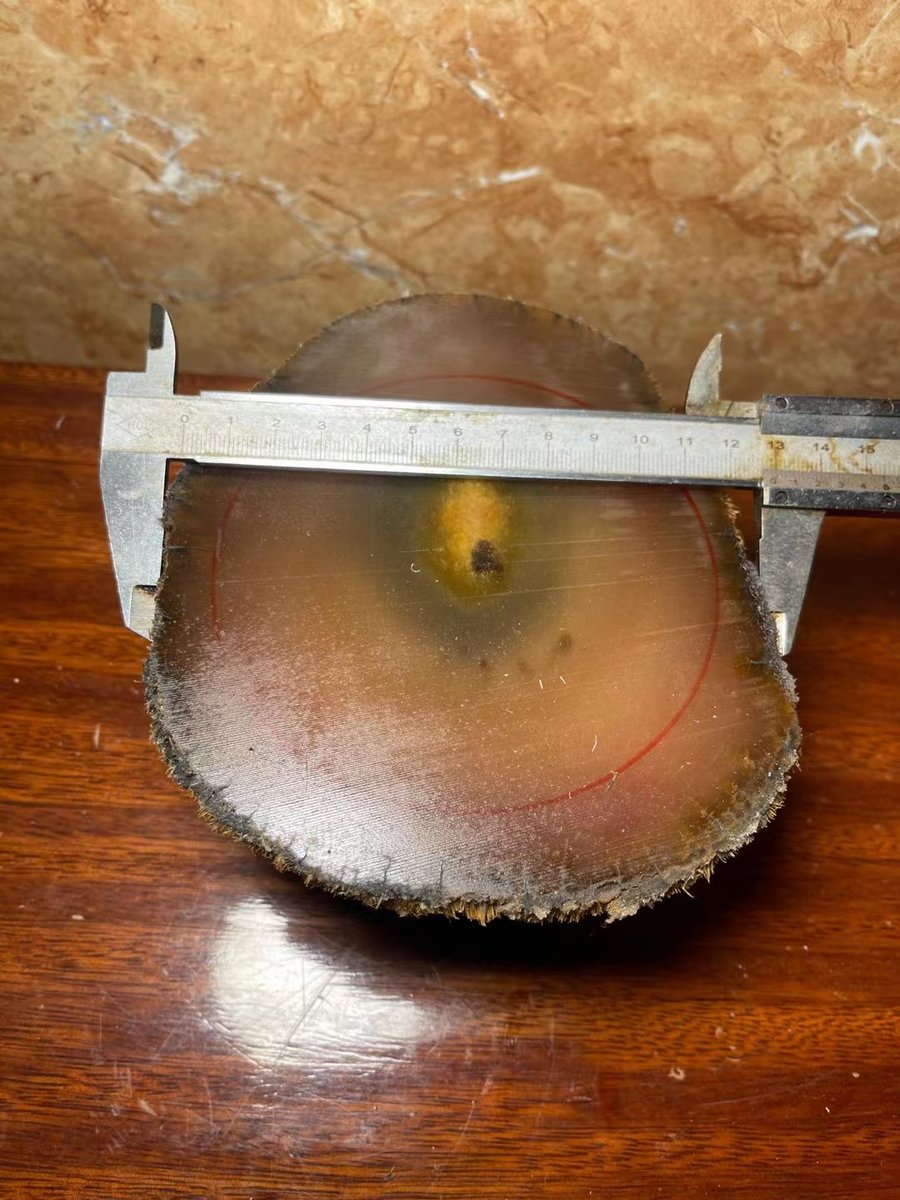 QL78902814's tweet photo. 犀牛角。 https://t.co/3CZHQetvbT
