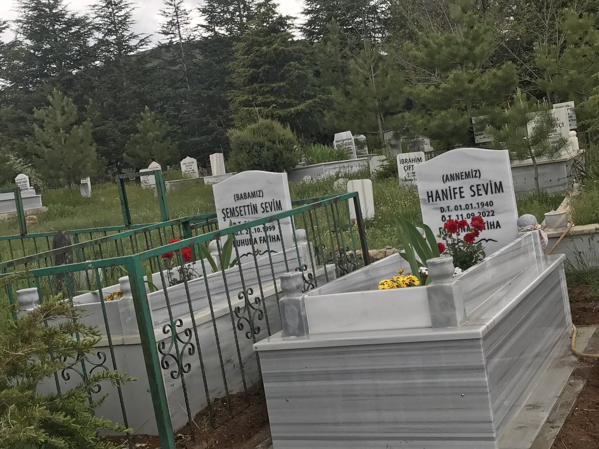 Prof. Dr. Ayla SEVİM EROL tweet media