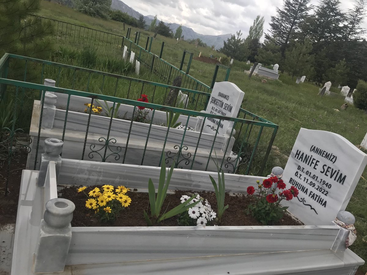 Prof. Dr. Ayla SEVİM EROL tweet media