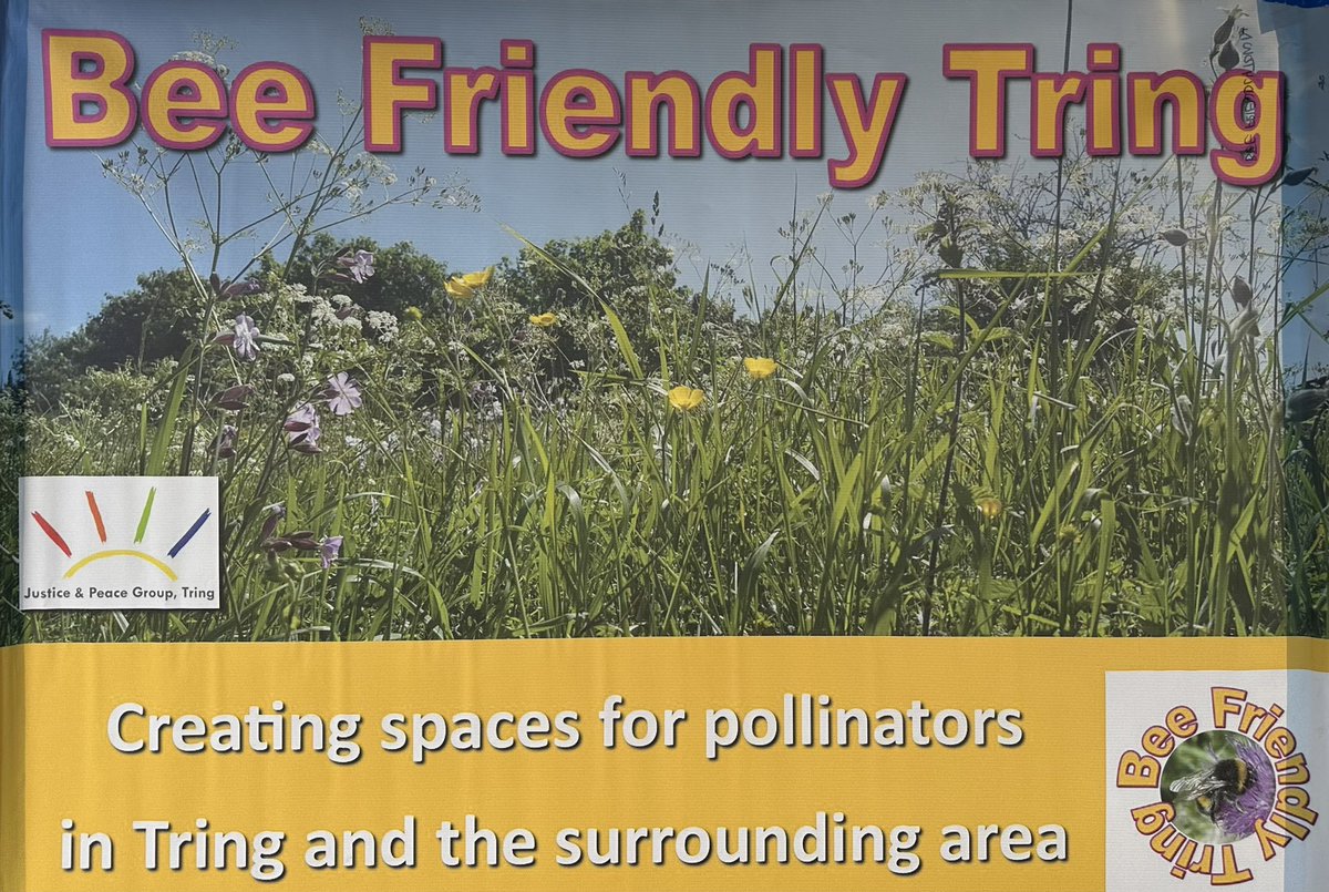 🐝🌻Come down to <a href="/TringFMkt/">Tring Farmers Market</a> this morning to learn how the Justice &amp; Peace group has made Tring a bee friendly town! Treat yourself to some local produce while you’re there! @EverythinTring @TringRadio <a href="/TringCouncil/">Tring Town Council</a> <a href="/TringTransition/">Sustainable Tring</a> <a href="/VisitTring/">Visit Tring</a>