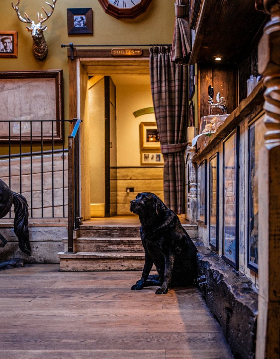 South Causey Inn tweet media