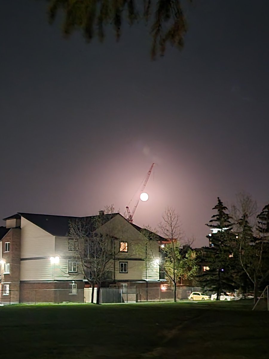 That moon y'all. Holy crap it's massive.