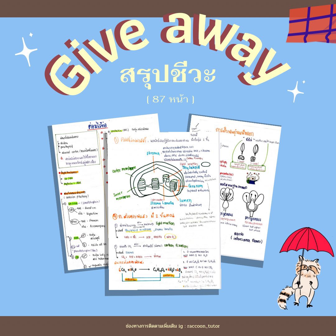 raccoon_tutor's tweet photo. Give away มาแล้ว🪴🧪
แจกไฟล์สรุปชีวะ  87 หน้า +  สรุปเคมี 

✨กติกา
⁃กดฟอล + รีทวิต
⁃แคปหลักฐานส่งทางไลน์ id @481pfyxg

รอรับไฟล์ได้ทันที 

#แจกสรุป #dek66 #dek67 #dek68 #dek69 #ไฟล์สรุป #สอนพิเศษ #สรุปชีวะ #สรุปเคมี #Giveaway #แจกไฟล์สรุป #DEK66  #แจกไฟล์ https://t.co/NBeida64rD