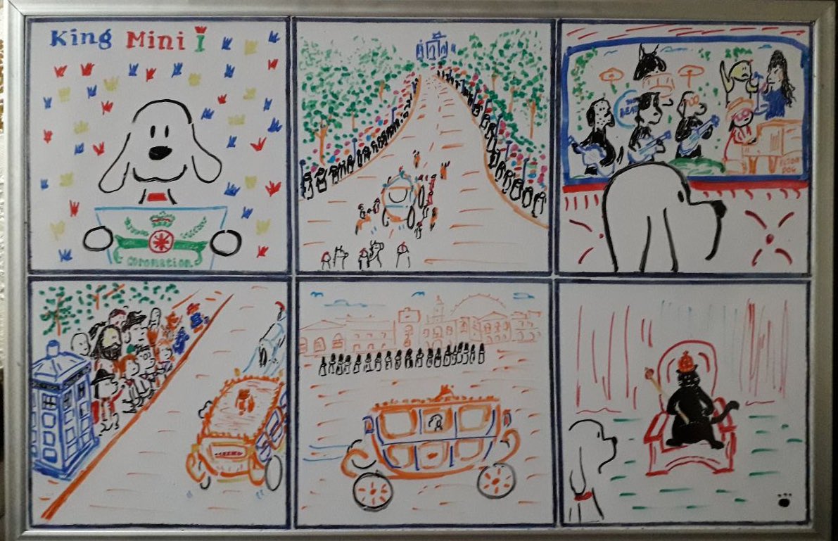 King Mini 👑🐶

#Coronation