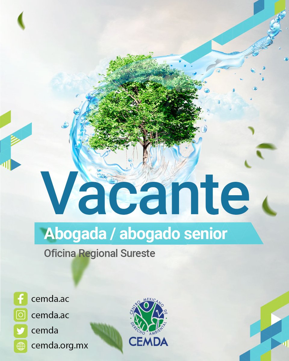 CEMDA's tweet photo. En el CEMDA contamos con una nueva convocatoria para el cargo de abogada/abogado senior, en nuestra oficina regional sureste. 💦🌱 
Revisa cuáles serían las responsabilidades aquí y postúlate: https://t.co/u1WHFiqRka https://t.co/kxXjuMvAx8