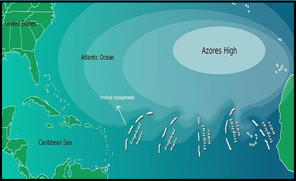 On average, about 60 tropical waves are generated over North Africa each year, but it appears that the number that is formed has no relationship to how much tropical cyclone activity there is over the Atlantic each year.  The first tropical wave is typically see in May.