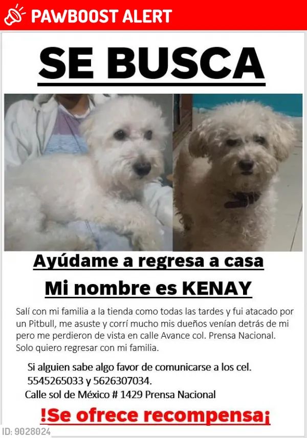 <a href="/Tlalnepantla/">Tlalnepantla</a> <a href="/Gob_Tlalne/">Gobierno de Tlalnepantla</a> <a href="/FundacionToby/">Fundación Toby</a> <a href="/SuperPawMx/">SuperPaw 🐾🐱🐶 🇲🇽 #DonarSalvaVidas</a> <a href="/PrrosPerdidosMX/">PerrosPerdidosMx</a> <a href="/Perrosenlacalle/">Alfredo Marquez T.</a> <a href="/AdoptameNaucal1/">Adoptame Naucalpan</a>