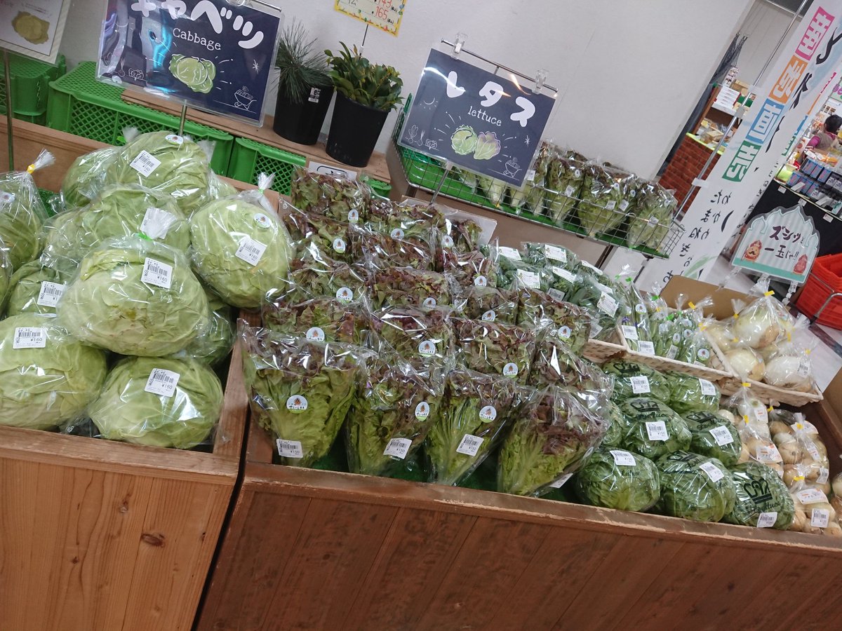 chocochippun's tweet photo. GWも終盤やねぇ🙆
産直市場も賑わっててここ数日追い野菜してる🤣
皆様お買い上げありがとうございます😌🎶
新たまねぎもまだまだあるよ~👍✨
#SEAPA
#とれたてわーるど https://t.co/jM5ekd6xvr
