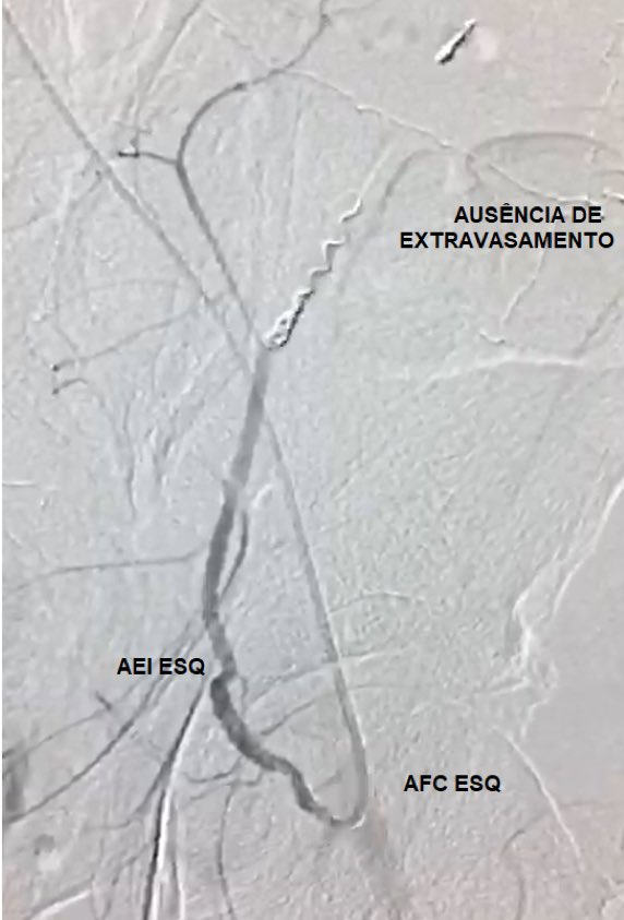 Walter Jr. Boim de Araujo tweet media