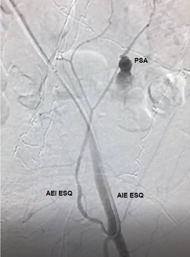 Walter Jr. Boim de Araujo tweet media