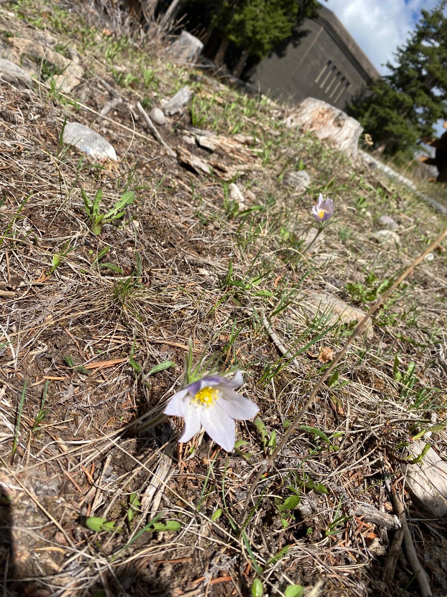 mrsjbecker's tweet photo. Outdoor Learning Conference! #takemeoutside https://t.co/6aOgYh08au
