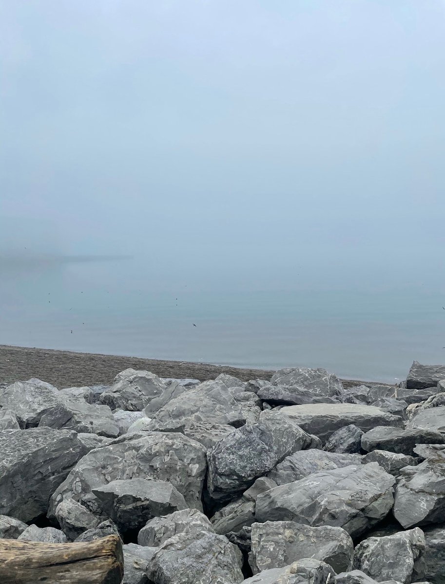 jennytherapy's tweet photo. lake erie ✨🌊🤍 buffalo ny https://t.co/wUr9dczc4y
