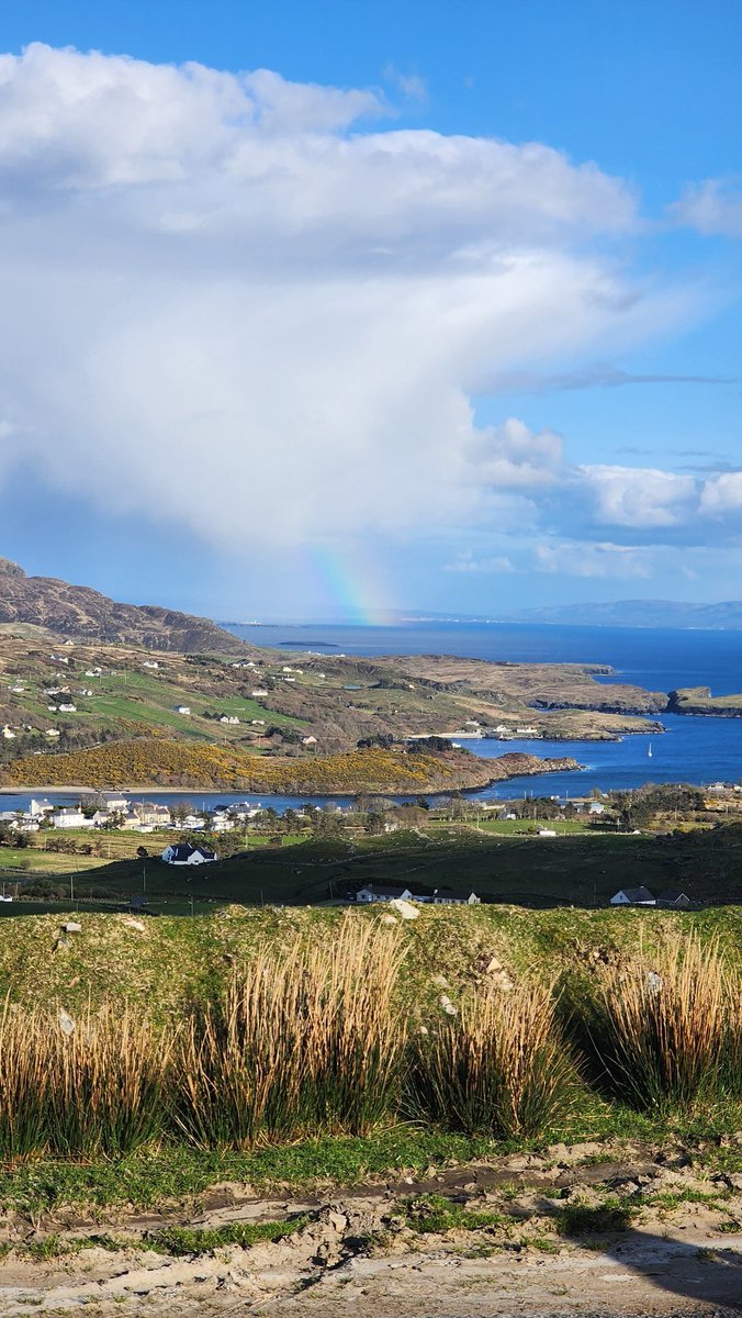 Bill Alexander tweet media