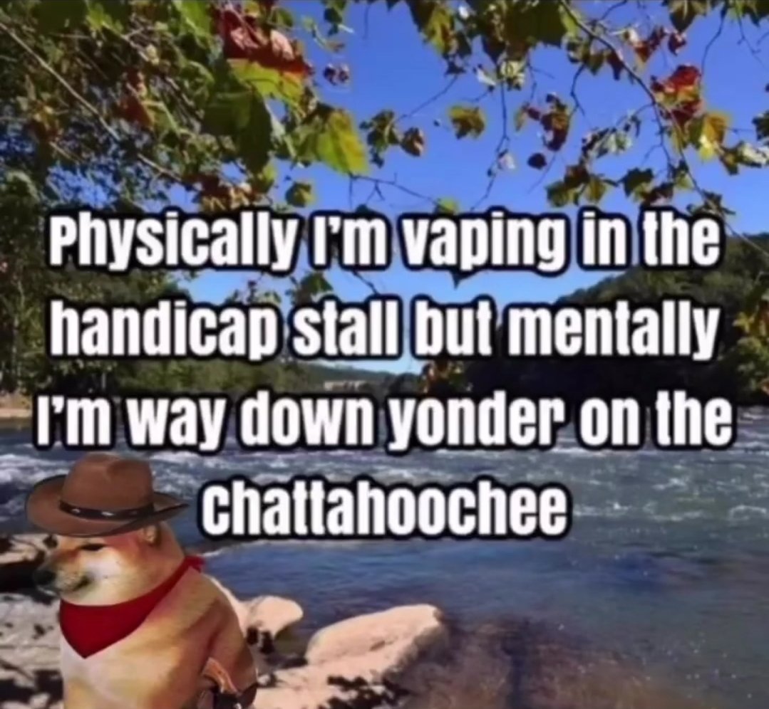 ȶႬᕪ 𐌀டΐᕪቢ ┯ⲅลԂᕪⲅ 👽🤌 (@thetradingalien) on Twitter photo 