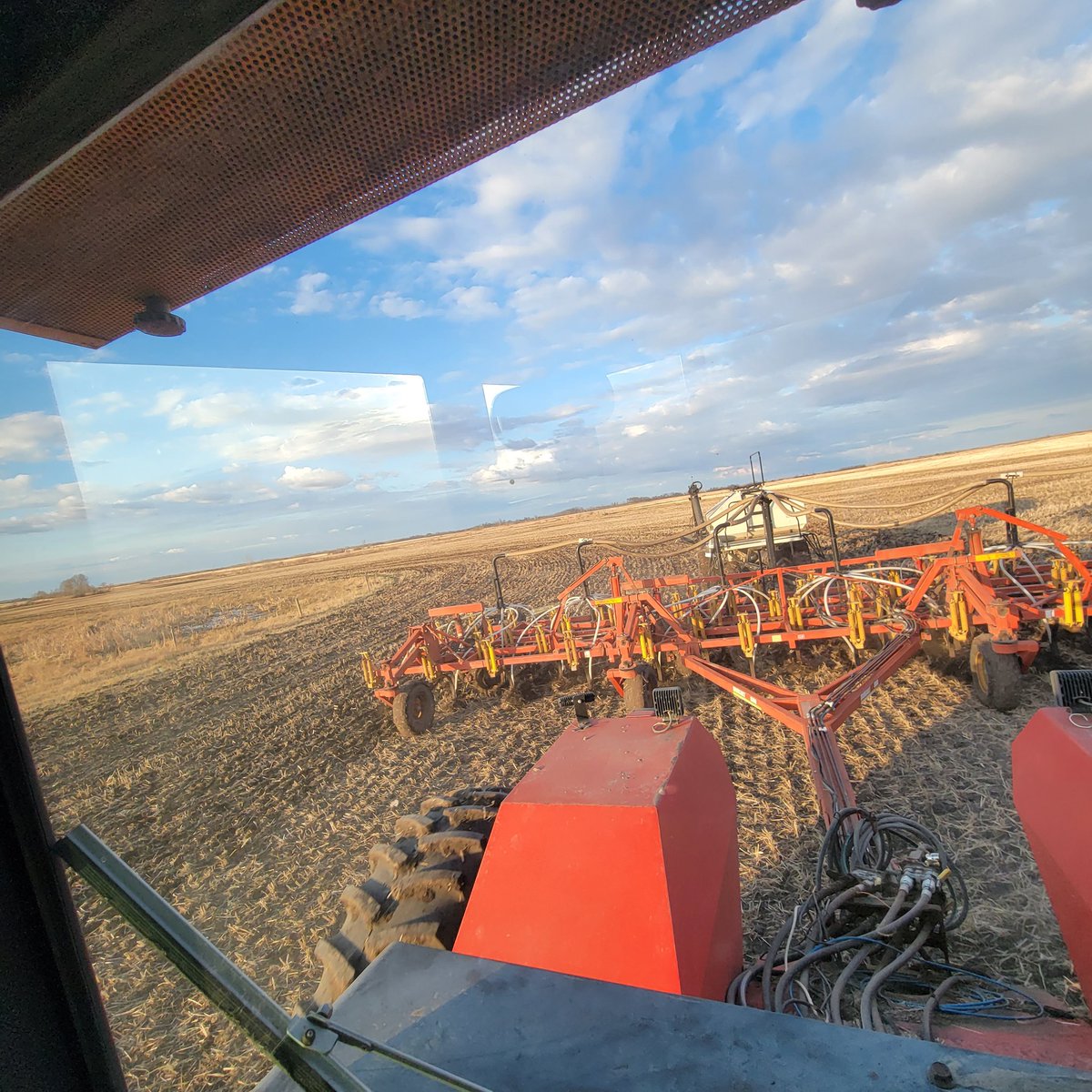 Mandatory picture.  #plant23 #carverpeas #keatingseeds #tinytank