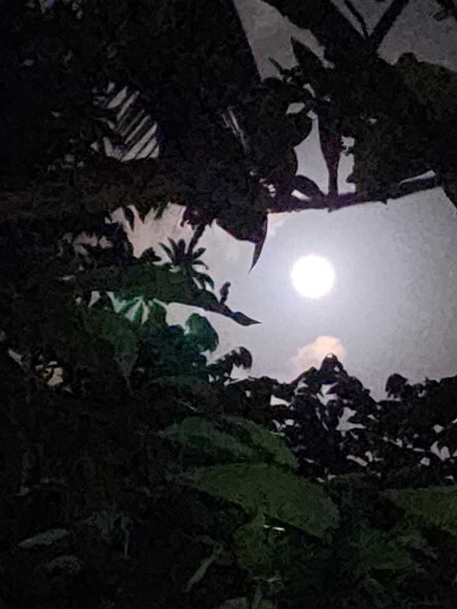 EnovasP's tweet photo. Hermosa Luna llena https://t.co/eEIW5hAZu0