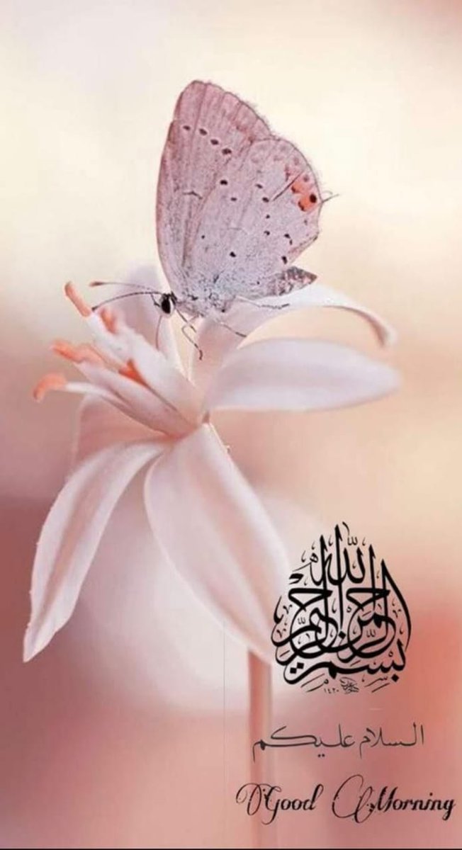 syeedabanoo's tweet photo. https://t.co/mAG88cxxkB