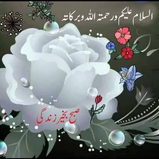 syeedabanoo's tweet photo. Aslamalakum moula sab ko salamat rakhe Immam Zamane Ki Hifazat Mai Ya Allaha 🤲❤️❤️ https://t.co/GJlJY5hkHn
