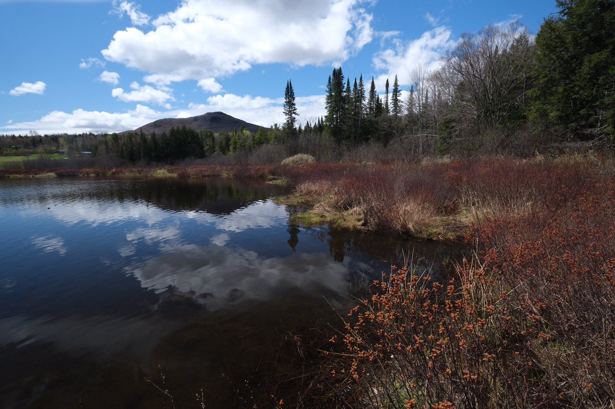 Lars L. Iversen tweet media