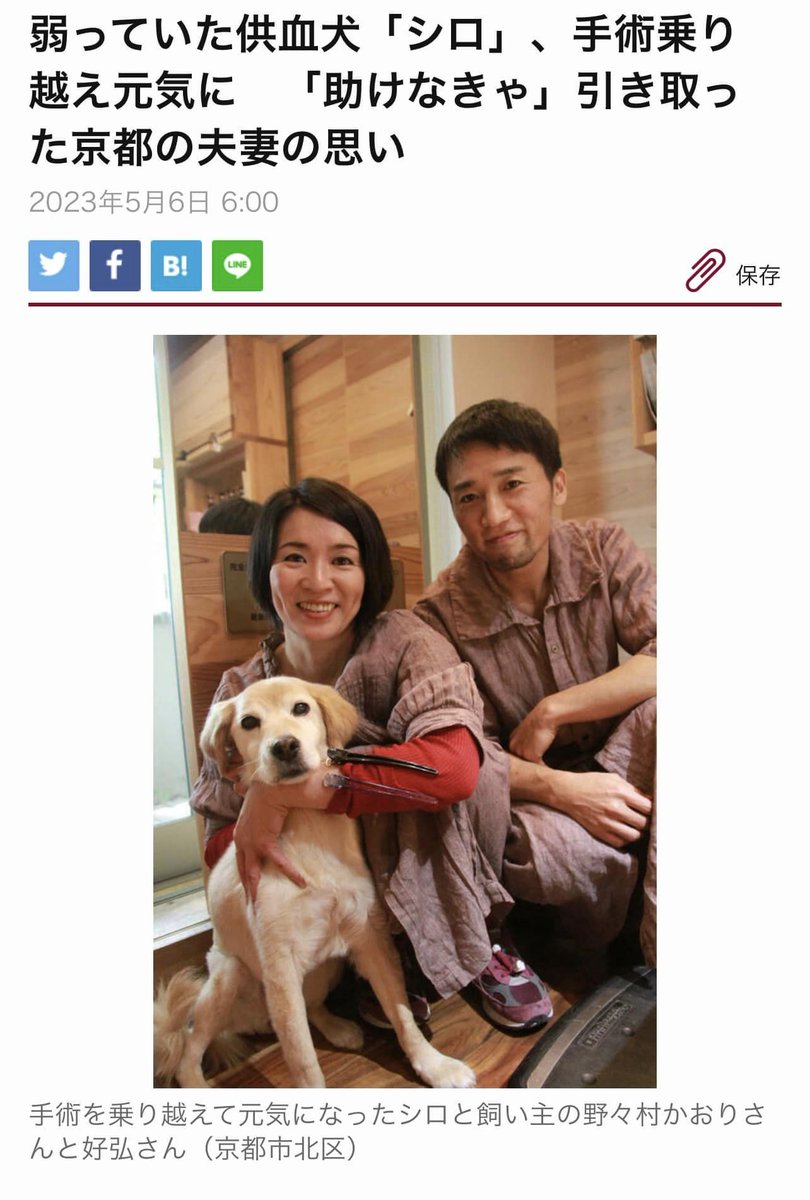 Ponyohair's tweet photo. 私たちのお仲間の野々村かおりさんご夫妻の愛犬として
第二の犬生を送るシロちゃん、その後の幸せ報告
『京都新聞の朝刊で供血犬についてご掲載いただきました。
今、シロちゃんはとても幸せに暮らしています。』
すべての動物たちが同じ命として大切に扱われ
健康長寿を実現することを心底願ってます https://t.co/cjhQg8Z3eH